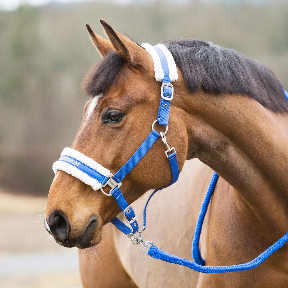 Link to horse halters category
