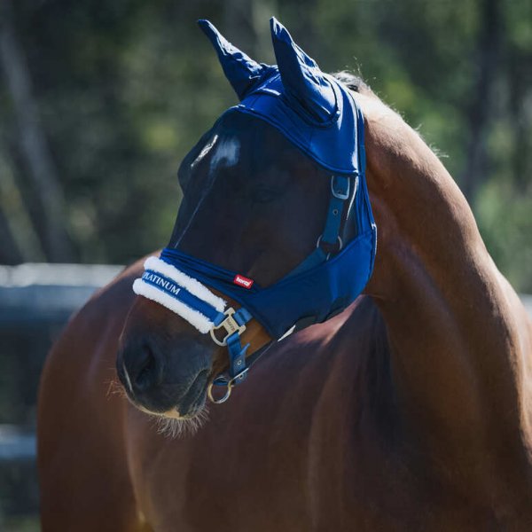 Prodoct shot of blue horse flymask