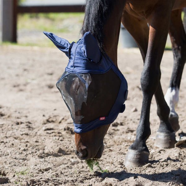 Prodoct shot of blue horse flymask