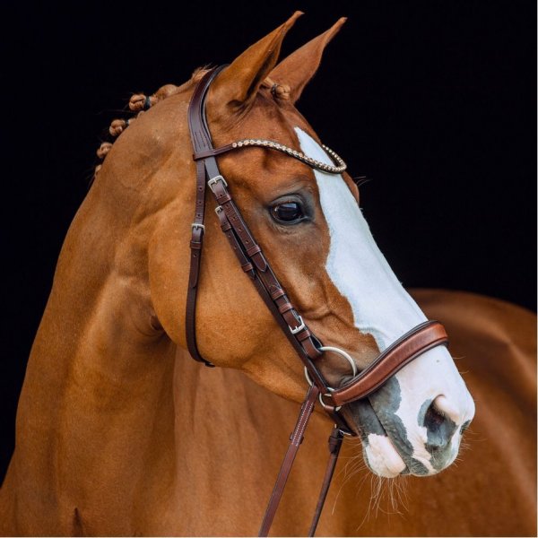 Product shot showing a brown bridle on a horse